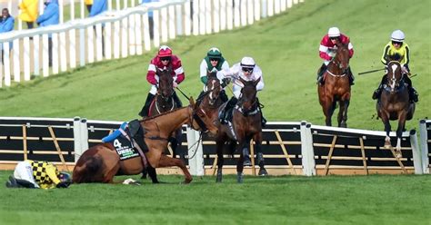 champion hurdle bookies|Cheltenham Festival day one: Irish Point offers value in .